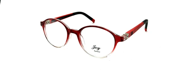 JOY DS6102 C1